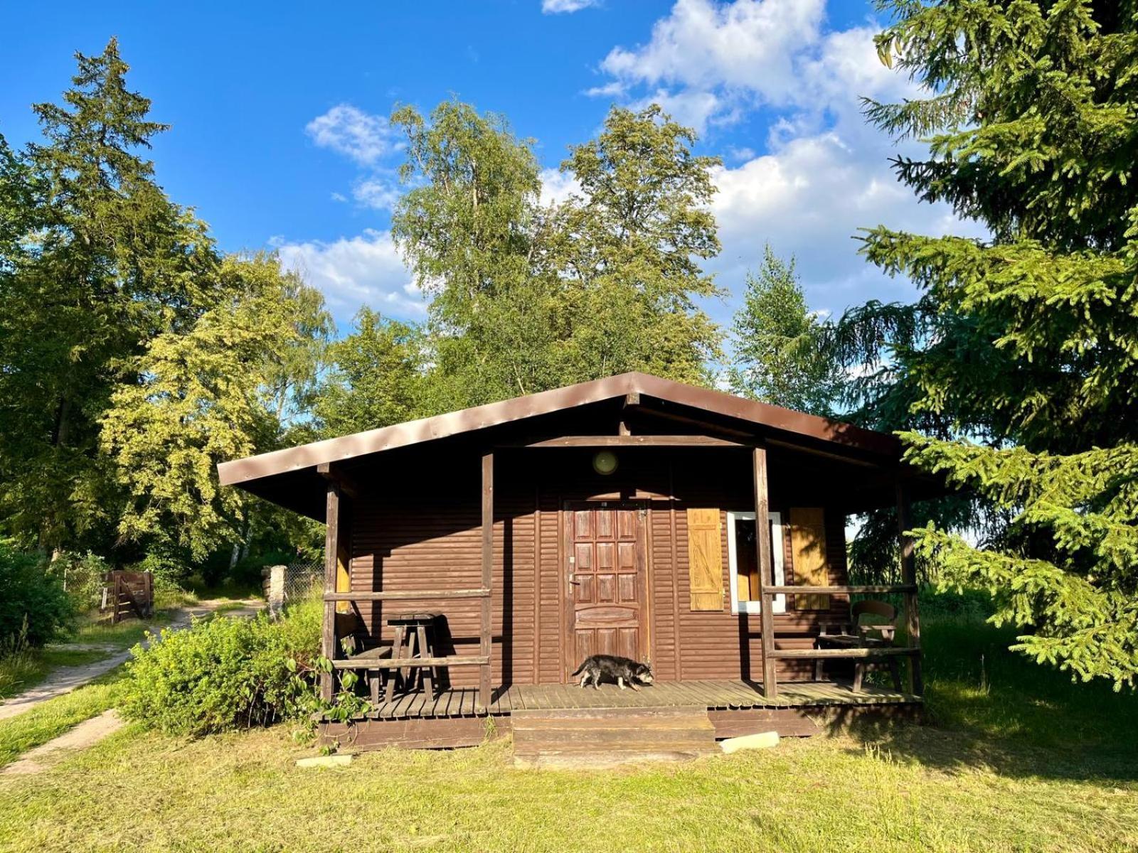 Slonce Mazur Hotel Dzwierzuty Exterior foto